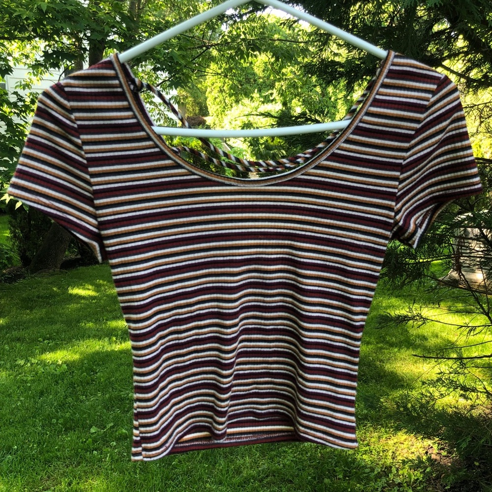 Autumn colored themed striped short sleeve crop